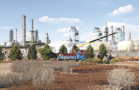 手机比分应用界面